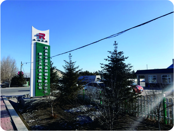 黑龍江天潤(rùn)200噸/天大豆榨油、30噸/天精煉生產(chǎn)線(xiàn)