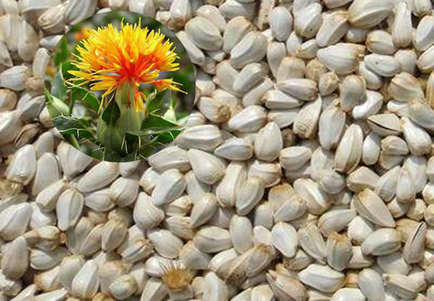 華泰紅花籽預(yù)處理解決方案